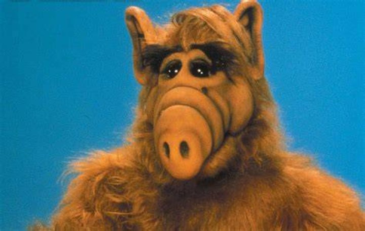 Alf