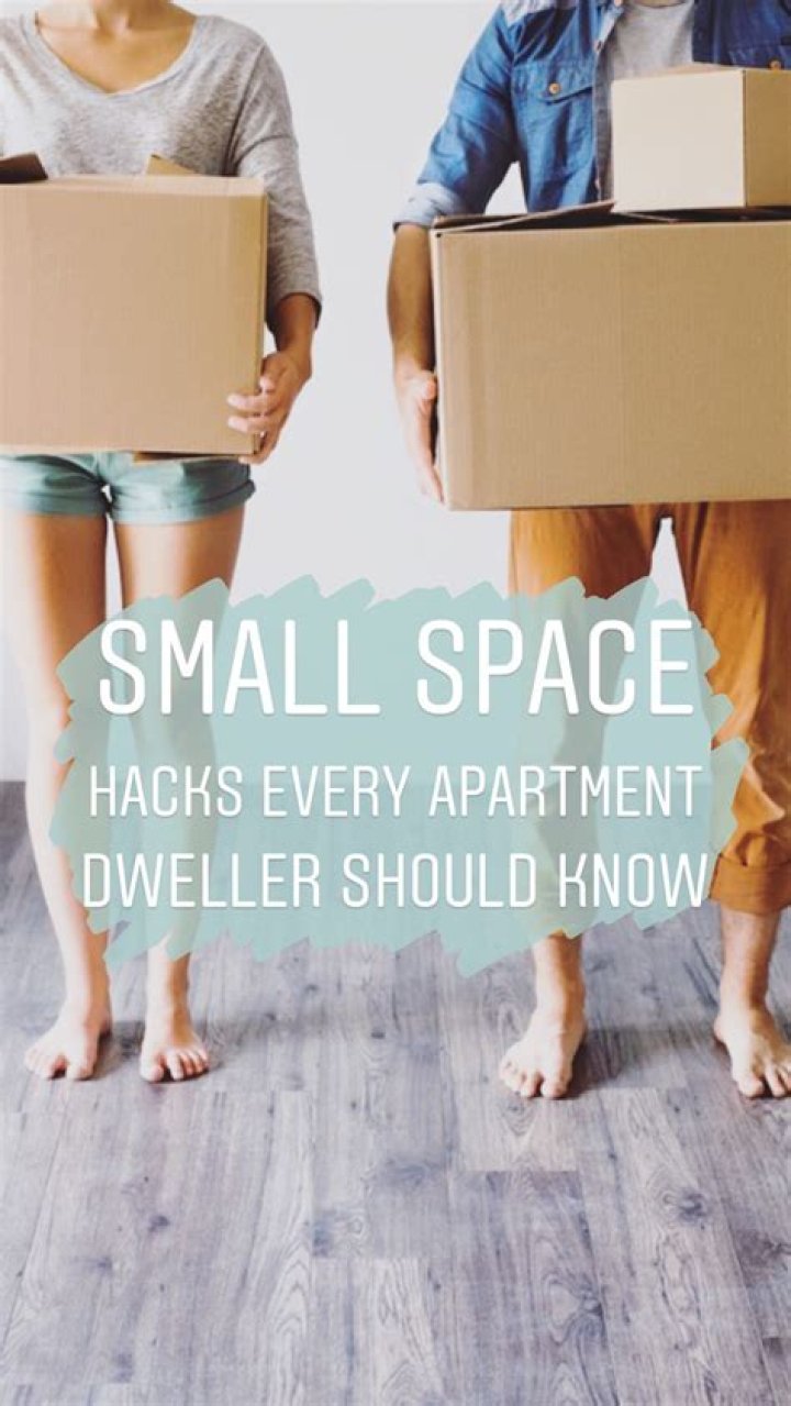 Apartment Dweller