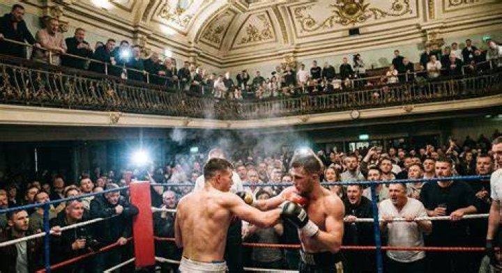 Boxing Fan