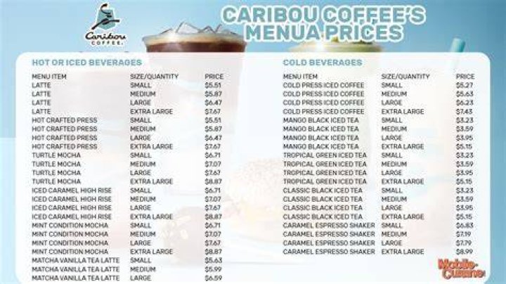 Caribou Coffee: A Delicious Menu and Franchise Opportunities