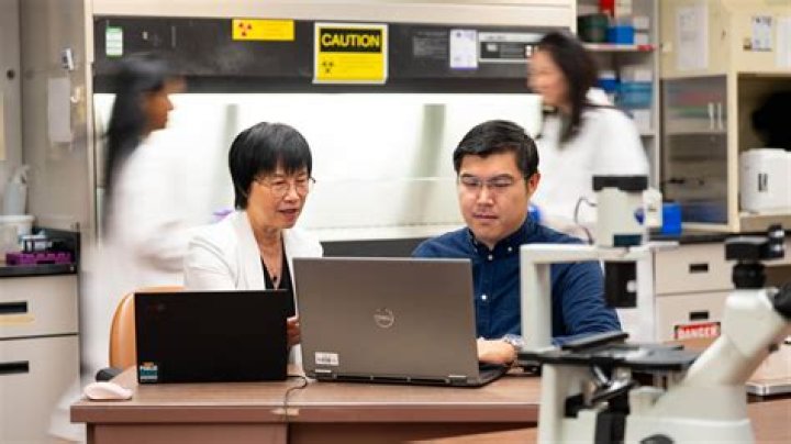 CS Lab Professor