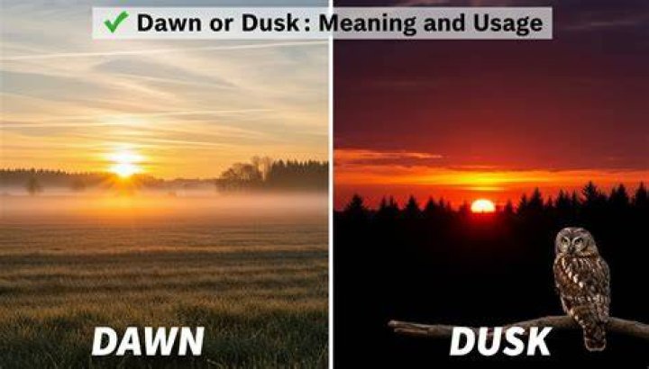 Dawn