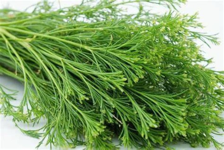 Dill's Friend