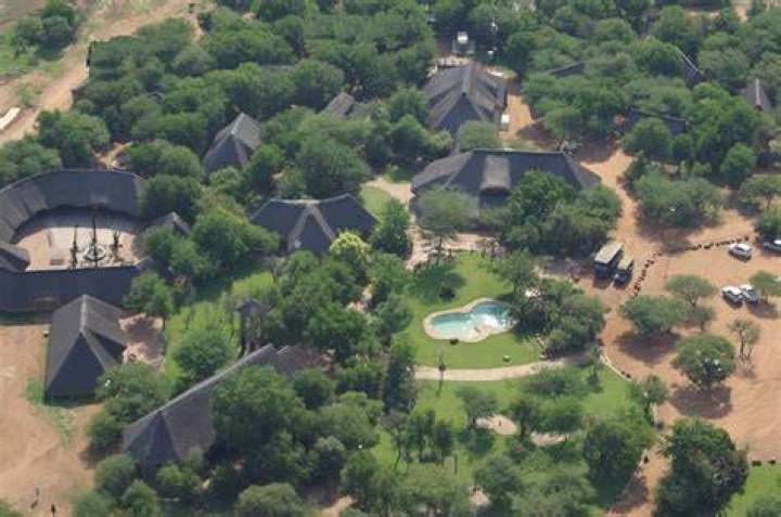 Dinokeng Game Reserve Incident: Man Killed In Lion Attack At Gauteng Game Reserve
