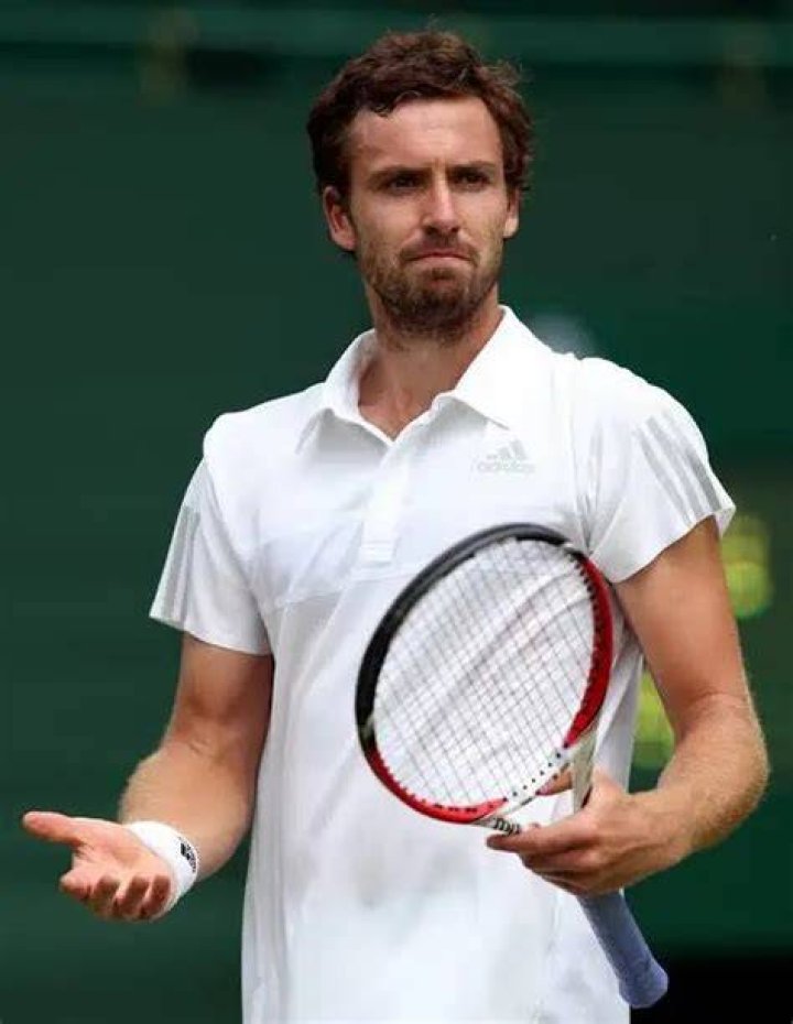 Ernests Gulbis Net Worth