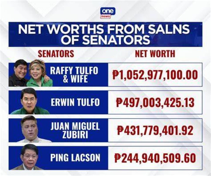 Erwin Tulfo Net Worth