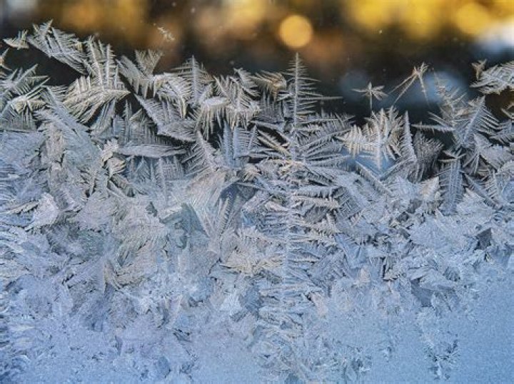 Frost