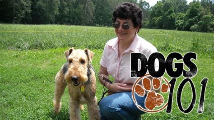Herself - Dog Trainer
