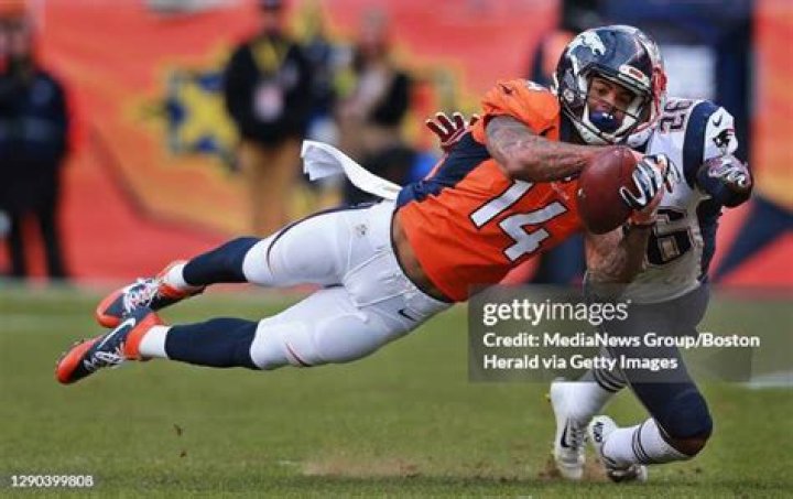 Himself - Denver Broncos Wide Receiver / Himself - New York Giants Wide Receiver / Himself - San Francisco 49ers Wide Receiver