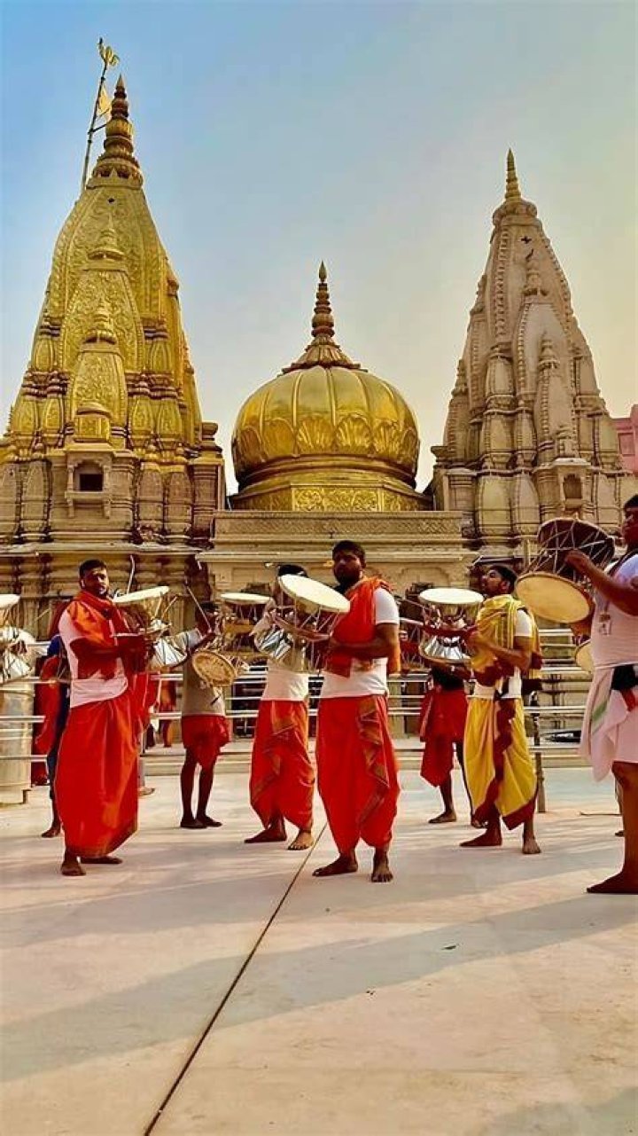 Kashi Sanketh Net Worth
