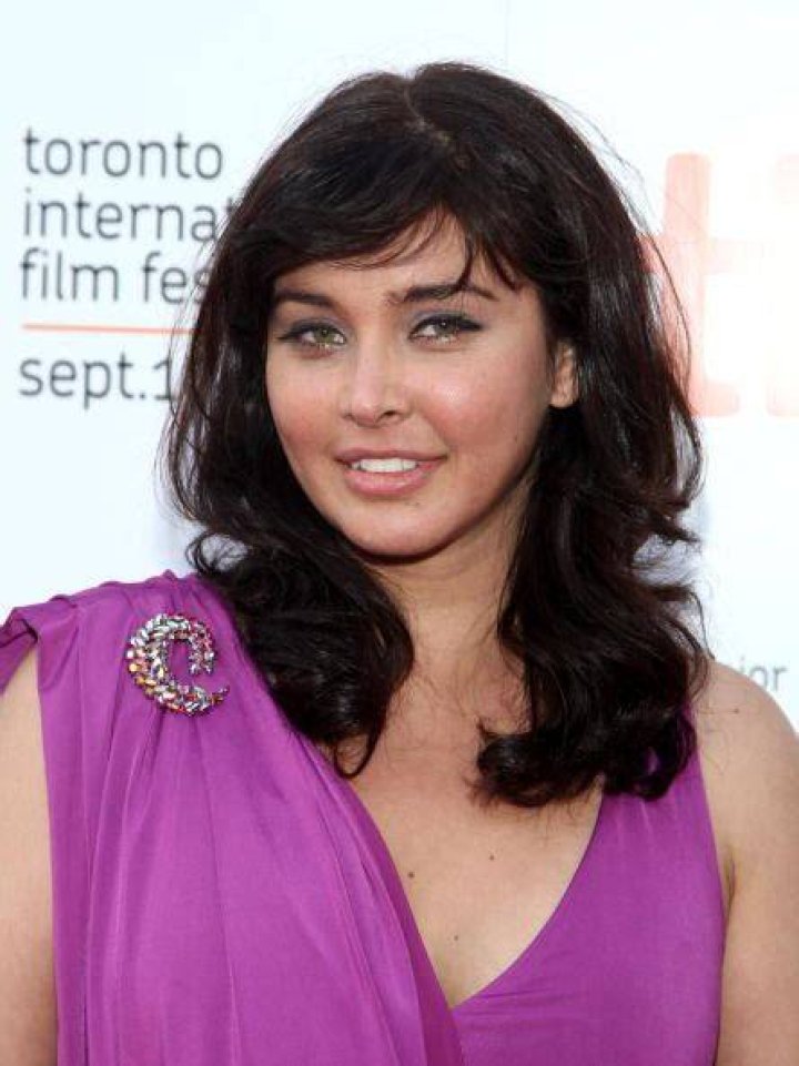Lisa Ray Net Worth