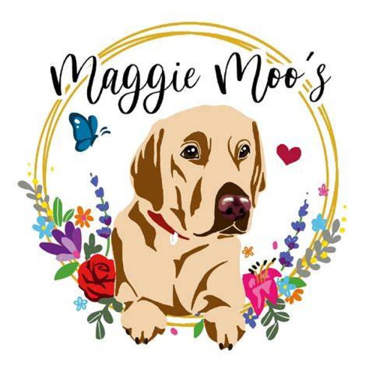 MaggieMoo's Ice Cream And Treatery