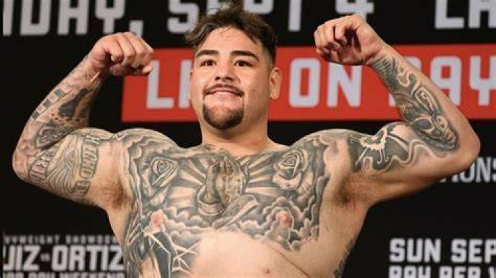 Michael Ruiz Net Worth