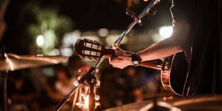Musician