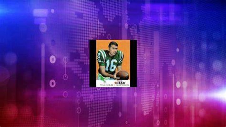 Norm Snead Net Worth