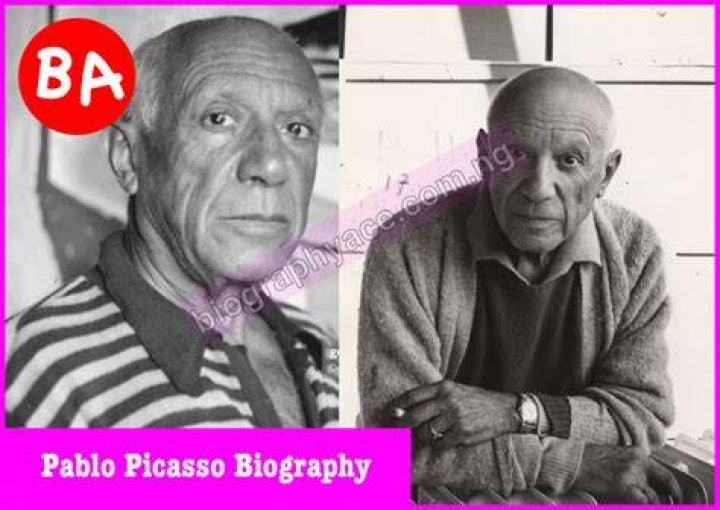 Pablo Picasso Net Worth