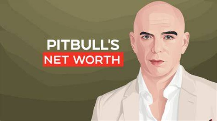 Pitbull Net Worth