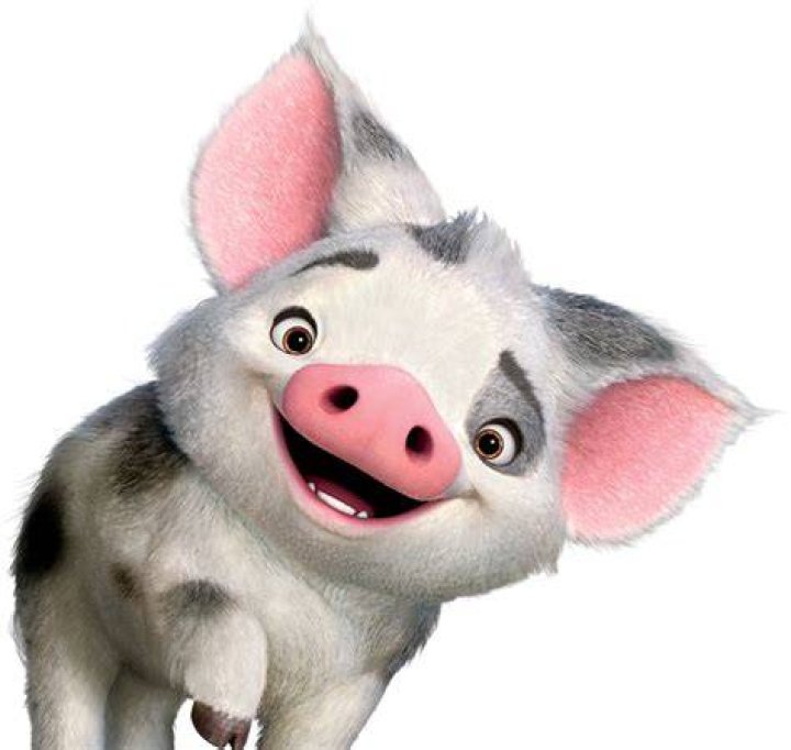 Pua