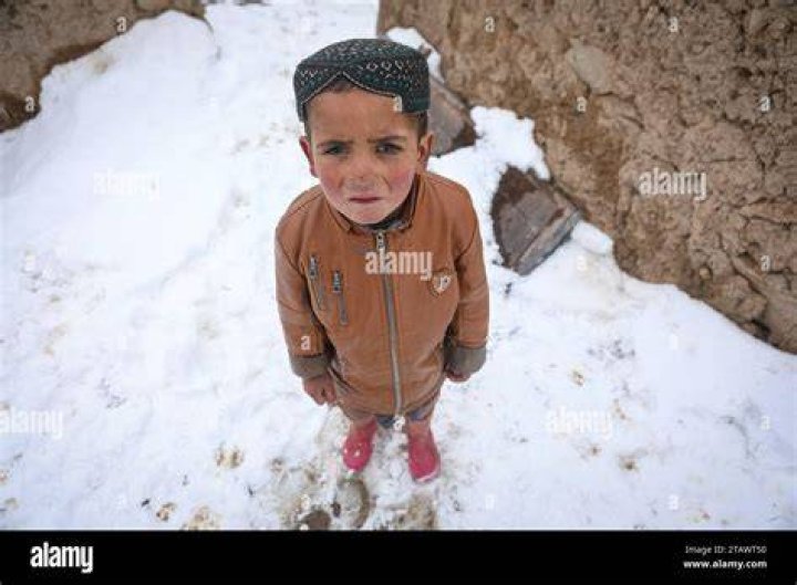 Refugee Boy