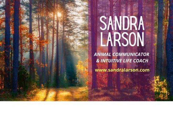 Sandra Larson
