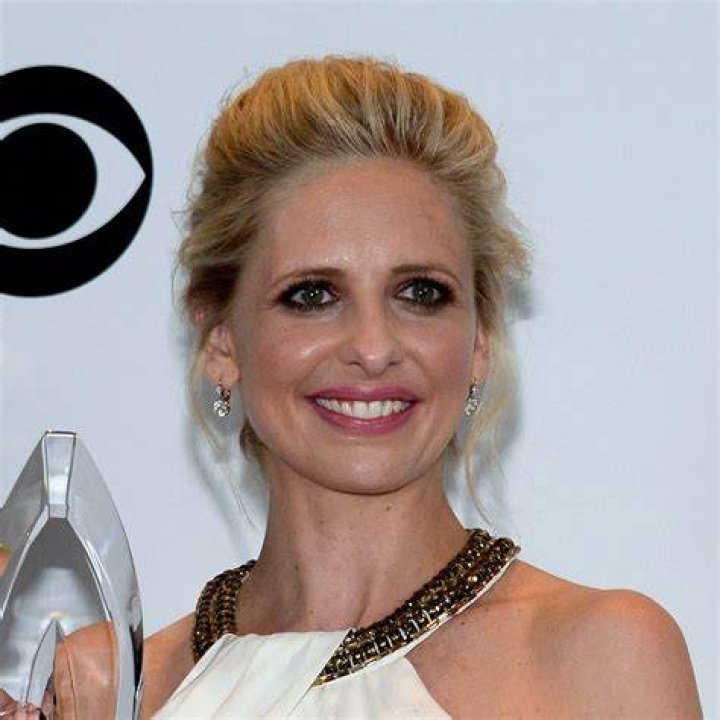 Sarah Dorsett Net Worth