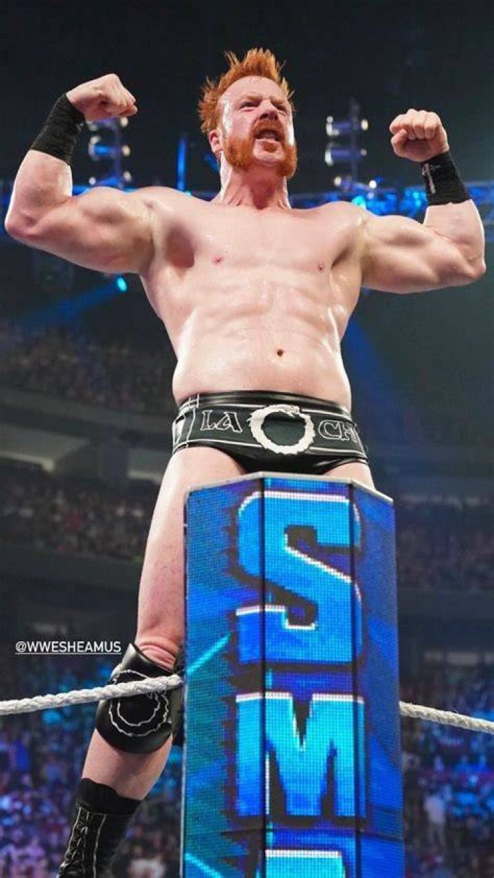 Sheamus / King Sheamus