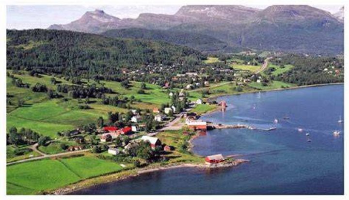 Storm Liland Anker-Hansen / Storm Liland / Storm Anker-Hansen