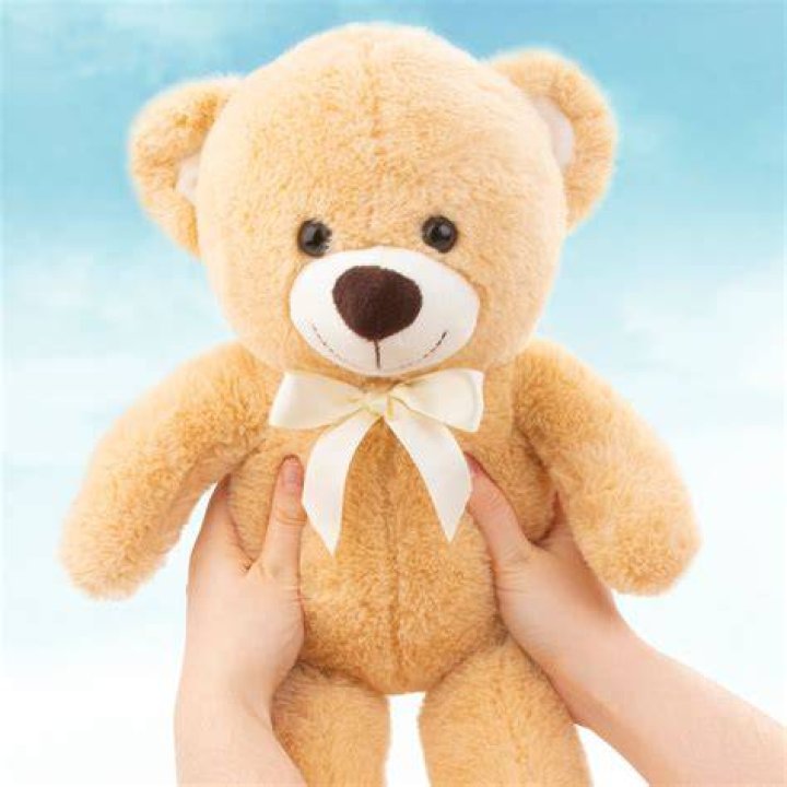 Teddy