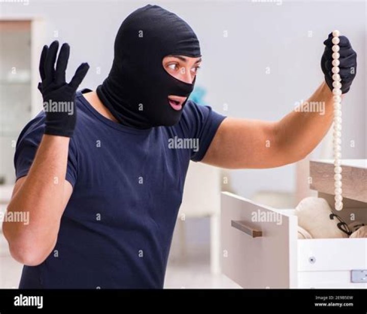 The Robber