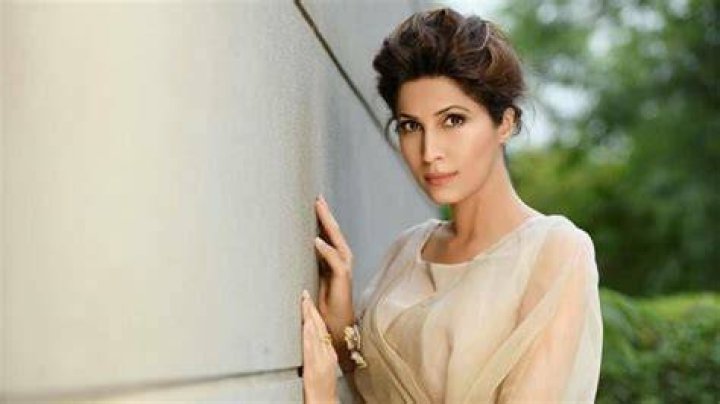 Vaneeza Ahmad Net Worth