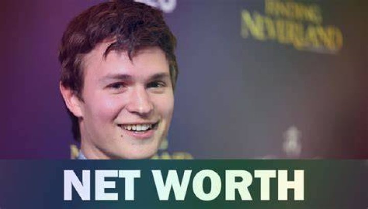 Warren Elgort Net Worth