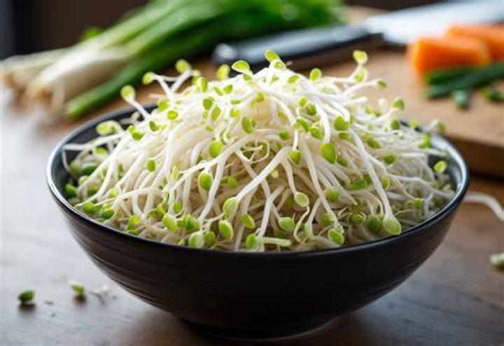 Why do bean sprouts taste bitter