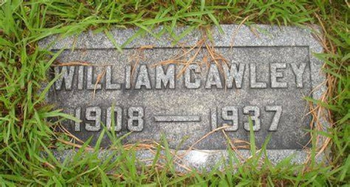 William Cawley Net Worth