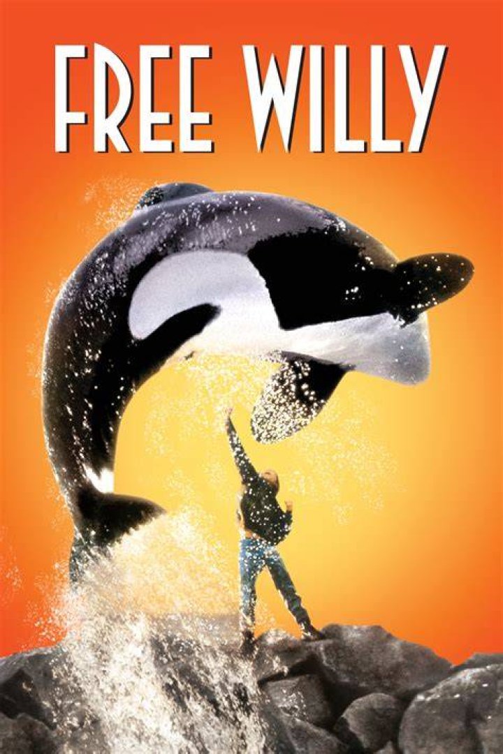 Willy