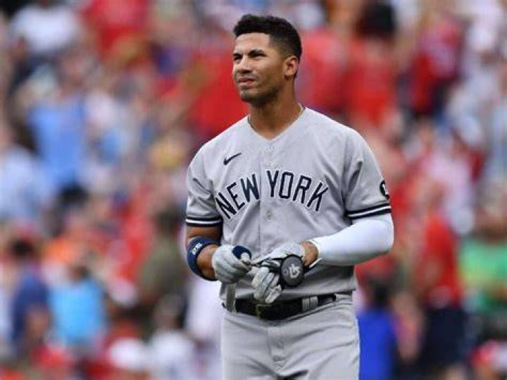Wilson Torres Net Worth
