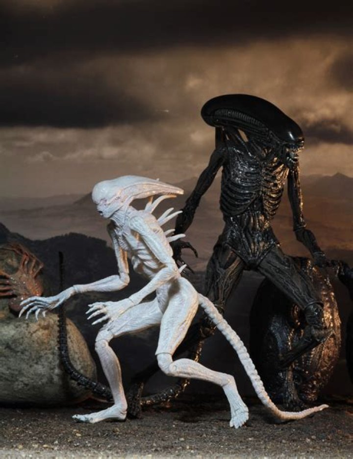 Xenomorph / Neomorph